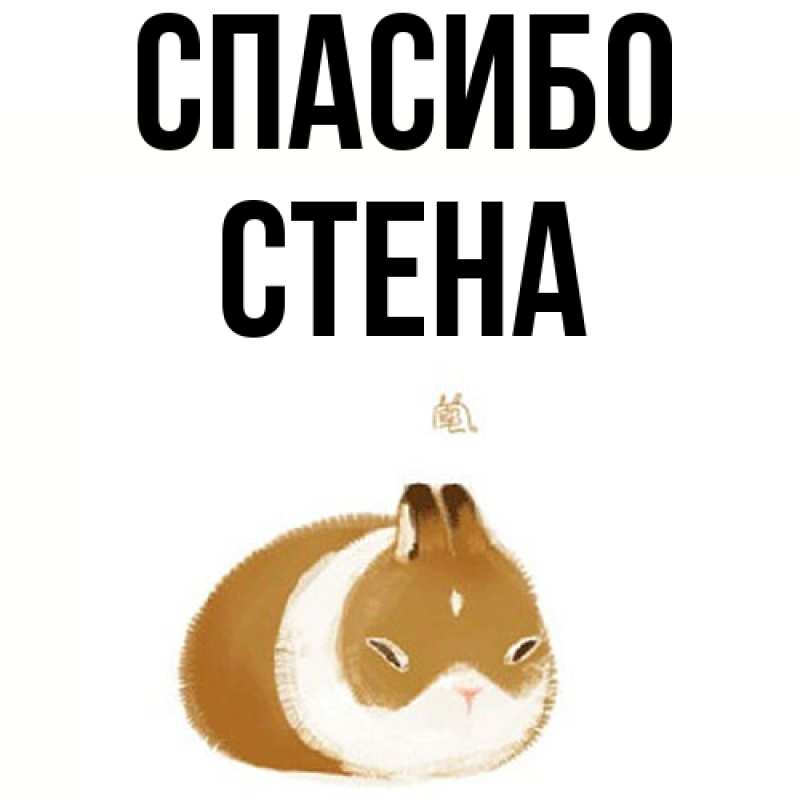 Картинка Спасибо, Стена