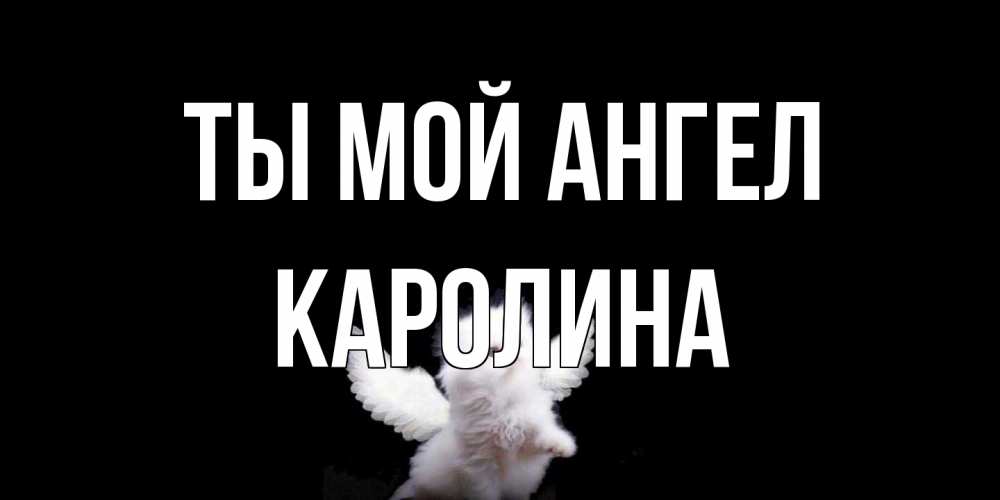 Открытка на каждый день с именем, Каролина Ты мой ангел Кот ангел Прикольная открытка с пожеланием онлайн скачать бесплатно 