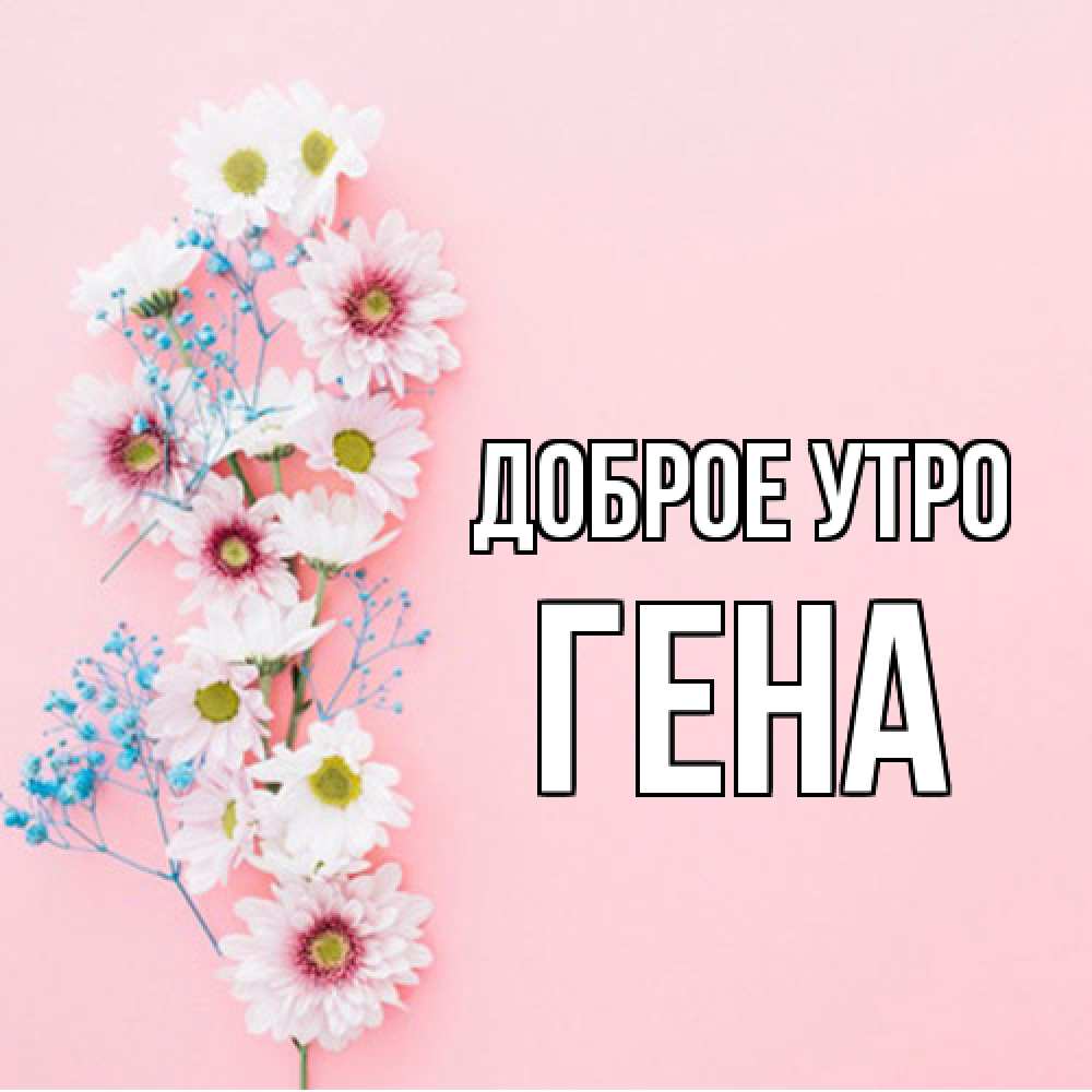 Открытка на каждый день с именем, Гена Доброе утро цветы с подписью Прикольная открытка с пожеланием онлайн скачать бесплатно 