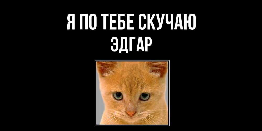 Открытка на каждый день с именем, Эдгар Я по тебе скучаю открытки рыжий котенок скучает по тебе Прикольная открытка с пожеланием онлайн скачать бесплатно 