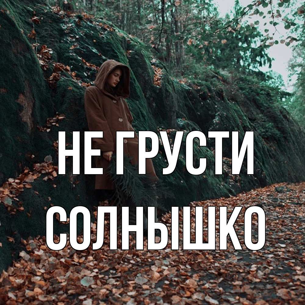 Открытка на каждый день с именем, Солнышко Не грусти осенний лес Прикольная открытка с пожеланием онлайн скачать бесплатно 