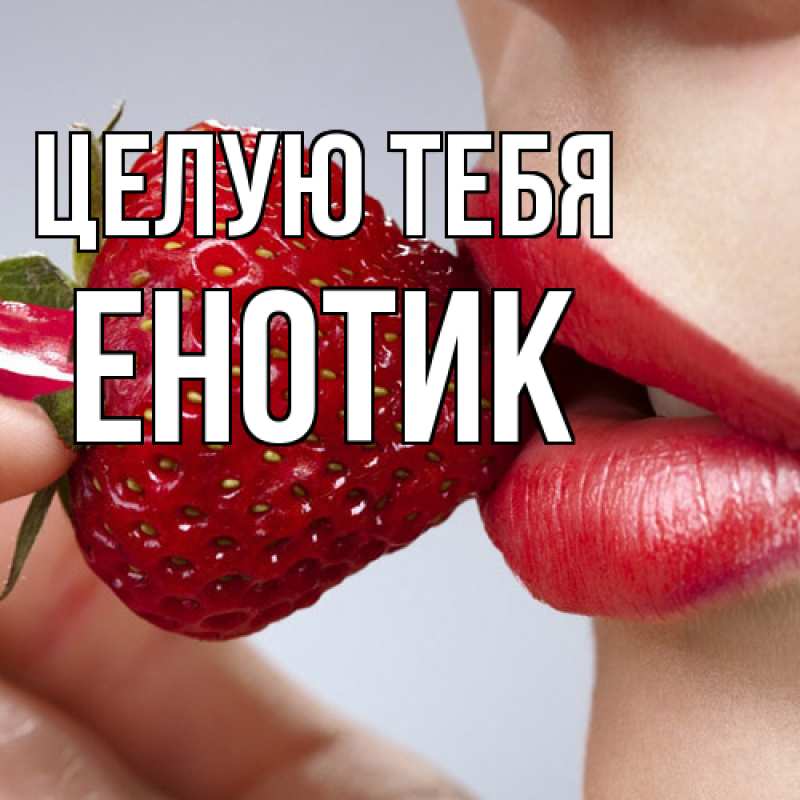 Картинка Целую тебя, Енотик