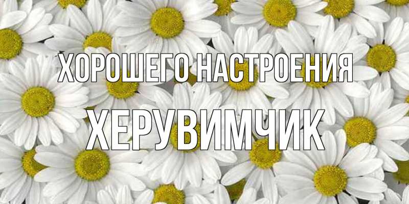 Картинка Хорошего настроения, Хеpувимчик