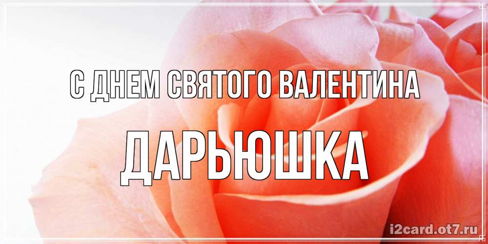 Открытка на каждый день с именем, Дарьюшка С днем Святого Валентина открытка на день Святого Валентина с розовой розой Прикольная открытка с пожеланием онлайн скачать бесплатно 