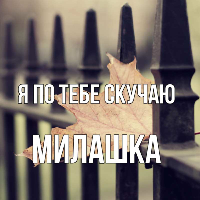 Картинка Я по тебе скучаю, Милашка