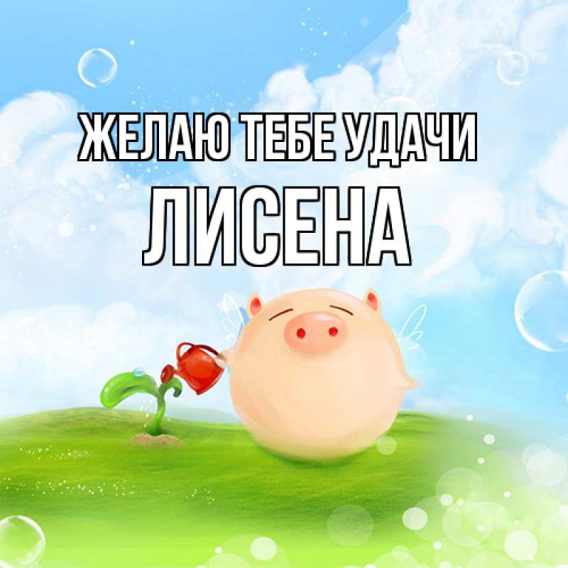 Картинка Желаю тебе удачи, Лисена