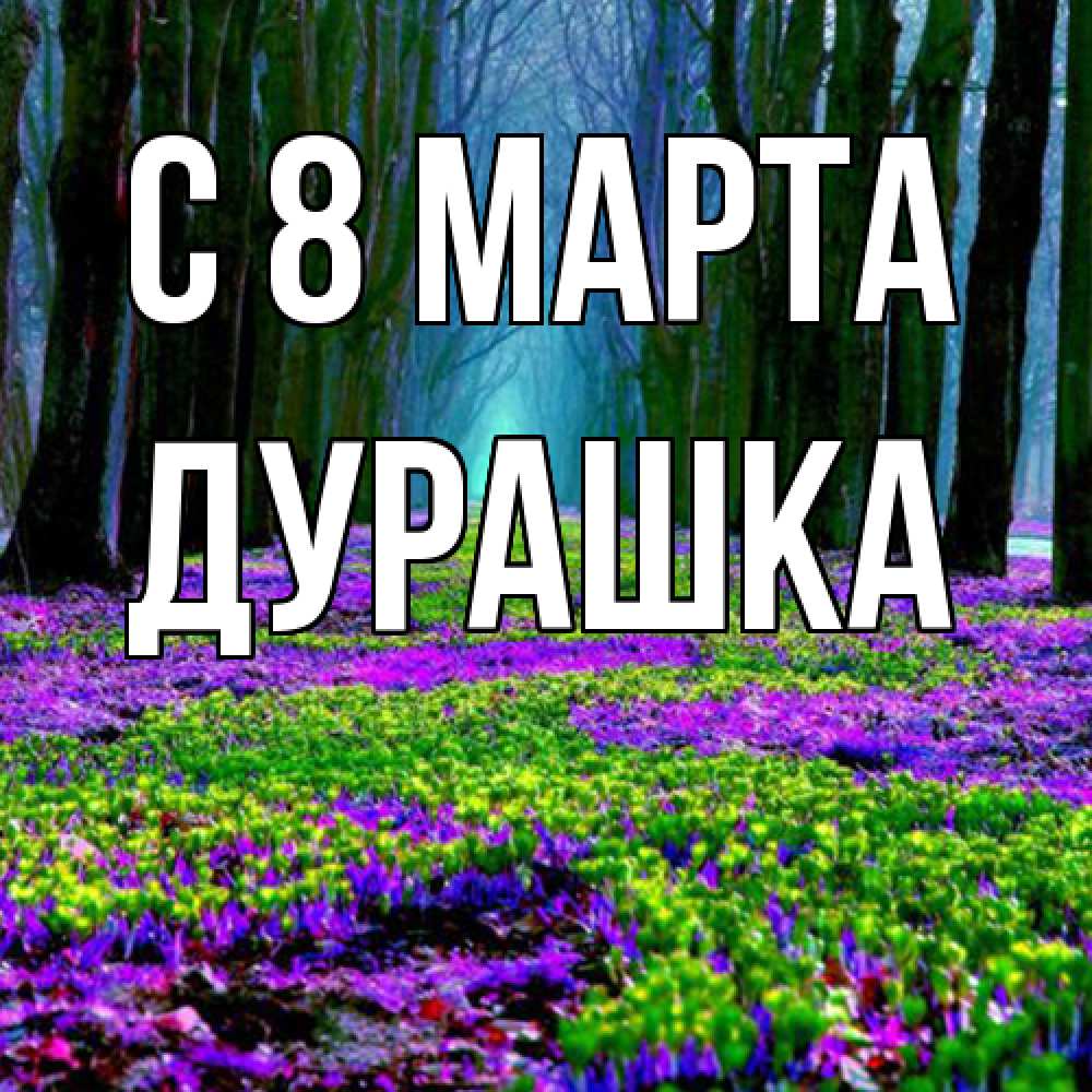 Открытка на каждый день с именем, Дурашка C 8 МАРТА фиолетовые цветы в лесу 1 Прикольная открытка с пожеланием онлайн скачать бесплатно 