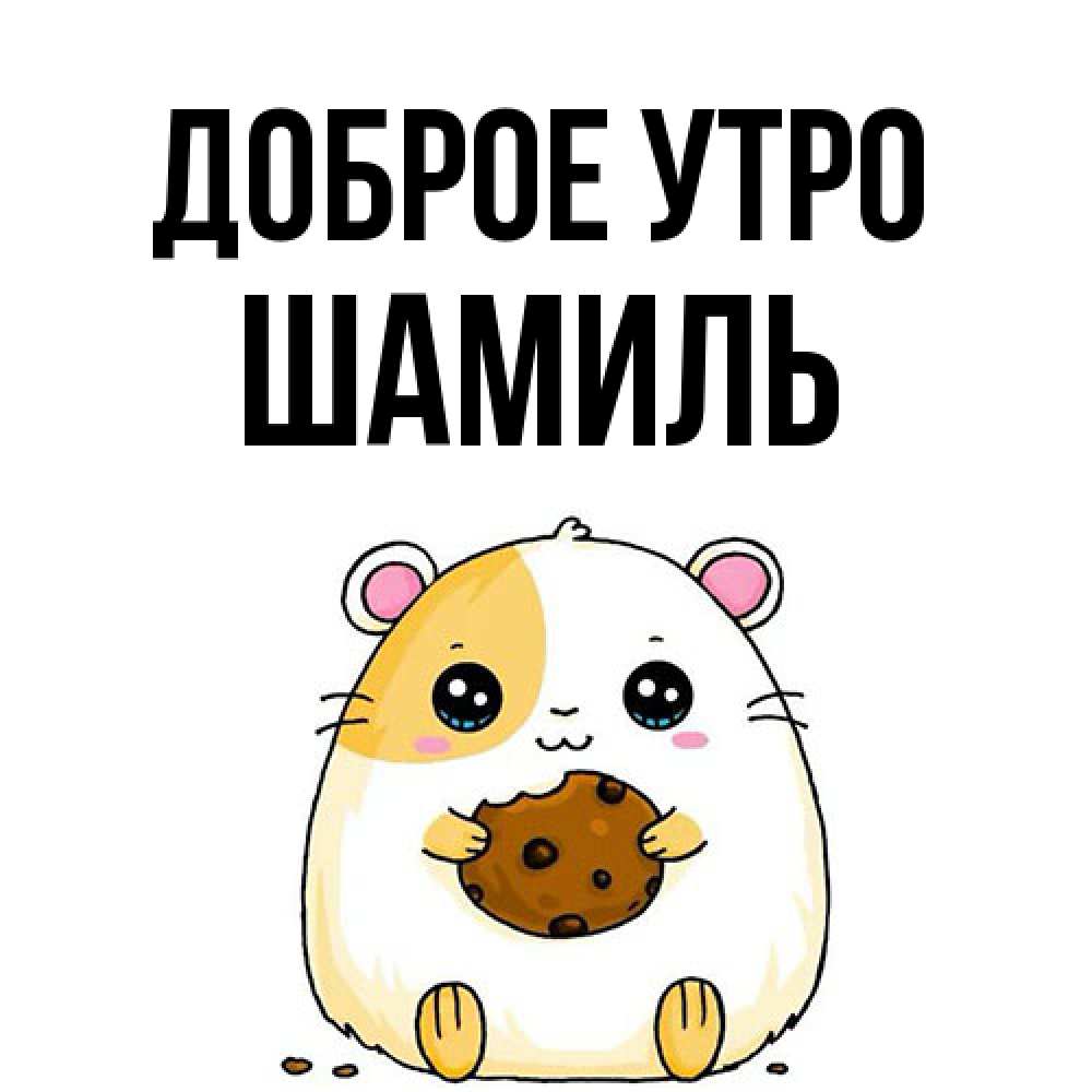 Открытка на каждый день с именем, Шамиль Доброе утро есть печеньку. Утречко Прикольная открытка с пожеланием онлайн скачать бесплатно 