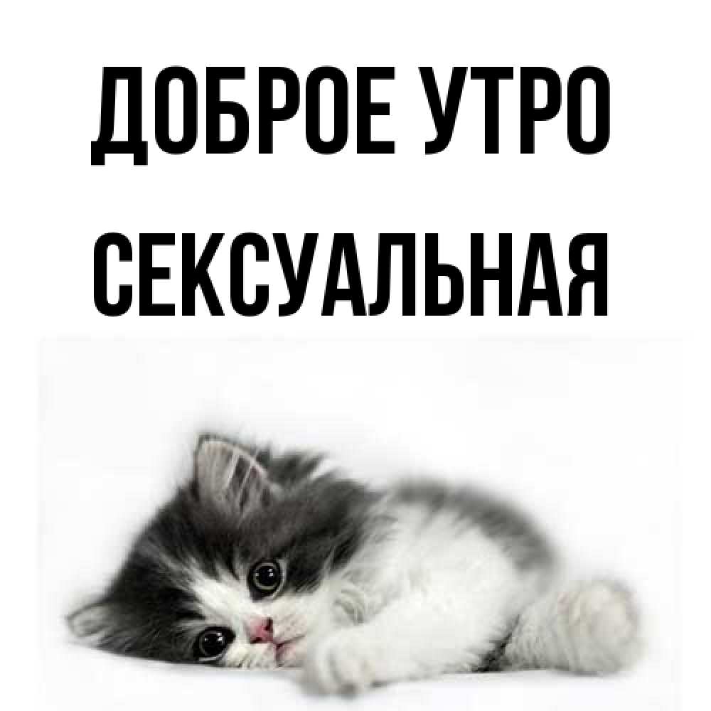 Открытка на каждый день с именем, Сексуальная Доброе утро кот лапки Прикольная открытка с пожеланием онлайн скачать бесплатно 
