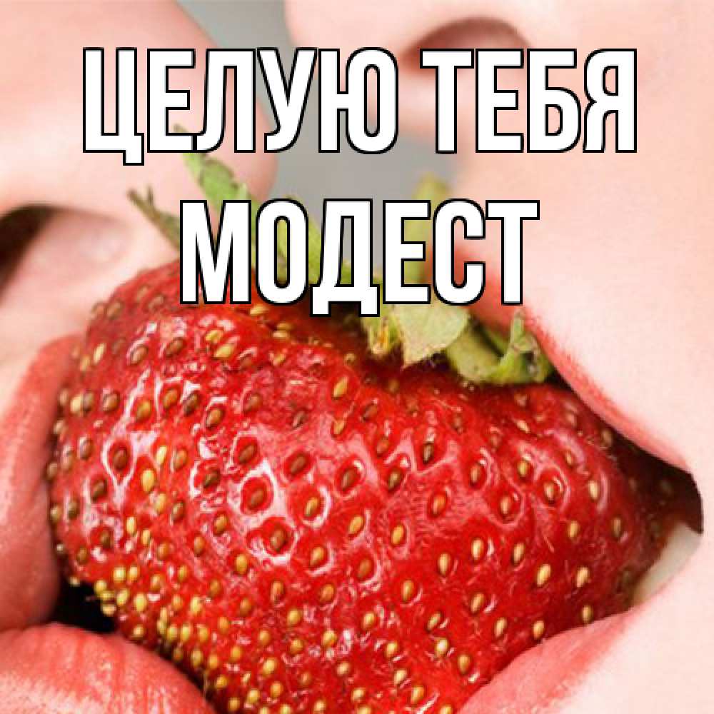 Открытка на каждый день с именем, Модест Целую тебя поцелуйчик Прикольная открытка с пожеланием онлайн скачать бесплатно 