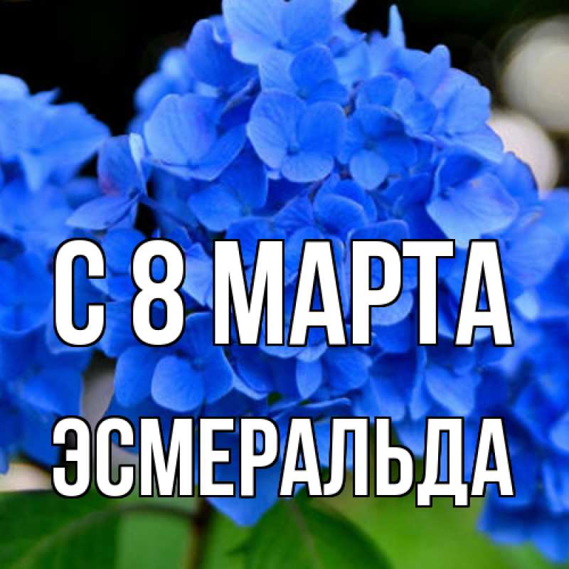 Картинка C 8 МАРТА, Эсмеральда
