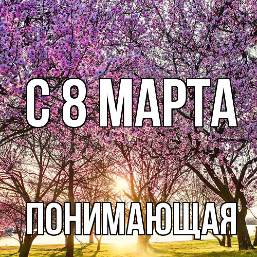 Открытка на каждый день с именем, Понимающая C 8 МАРТА международный женский день Прикольная открытка с пожеланием онлайн скачать бесплатно 