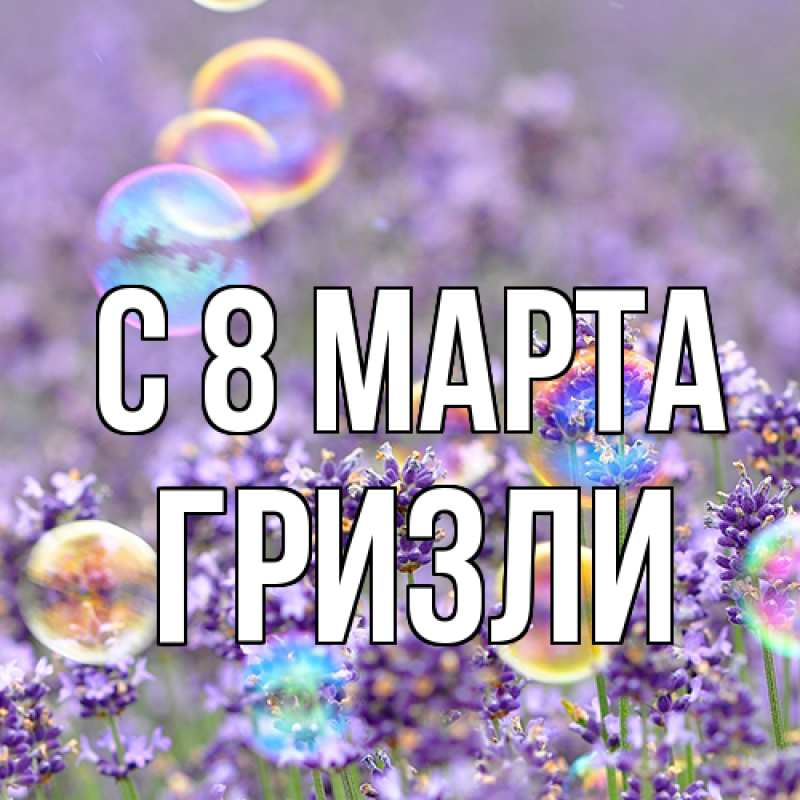 Картинка C 8 МАРТА, Гризли