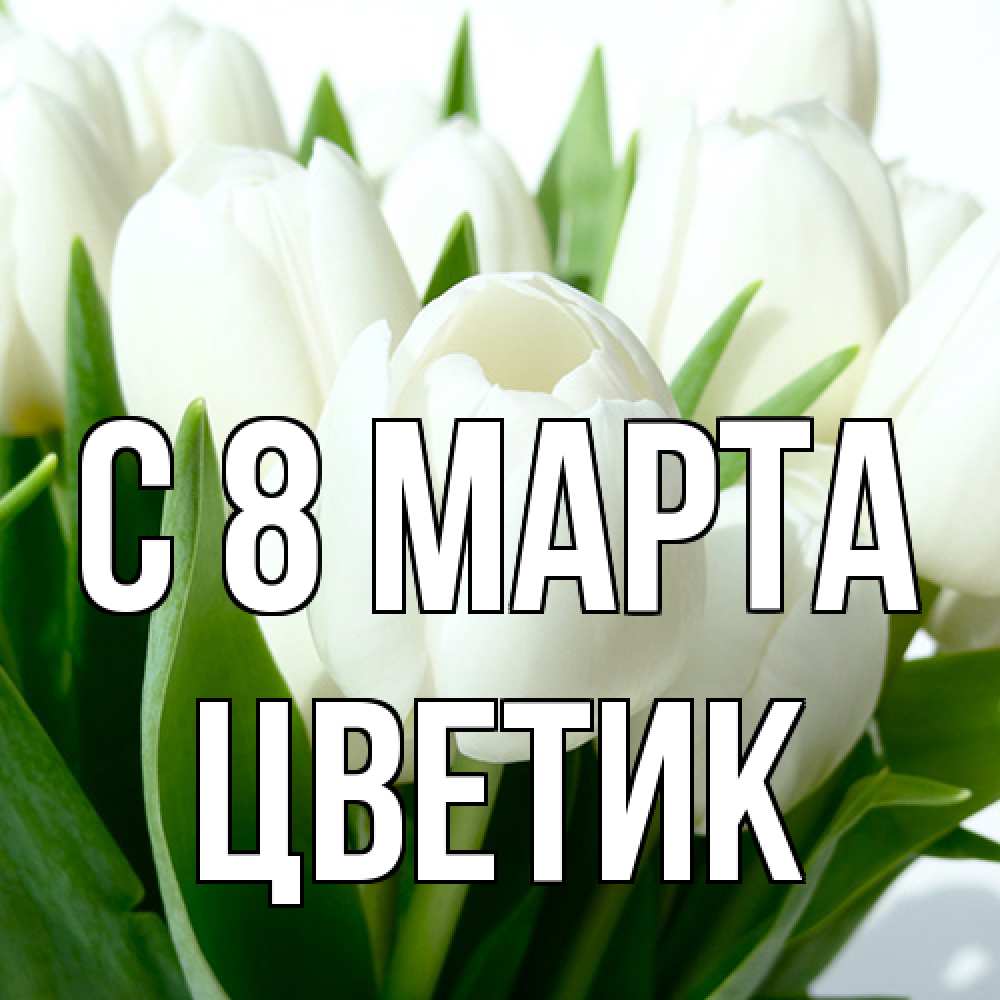 Открытка на каждый день с именем, цветик C 8 МАРТА цветы Прикольная открытка с пожеланием онлайн скачать бесплатно 