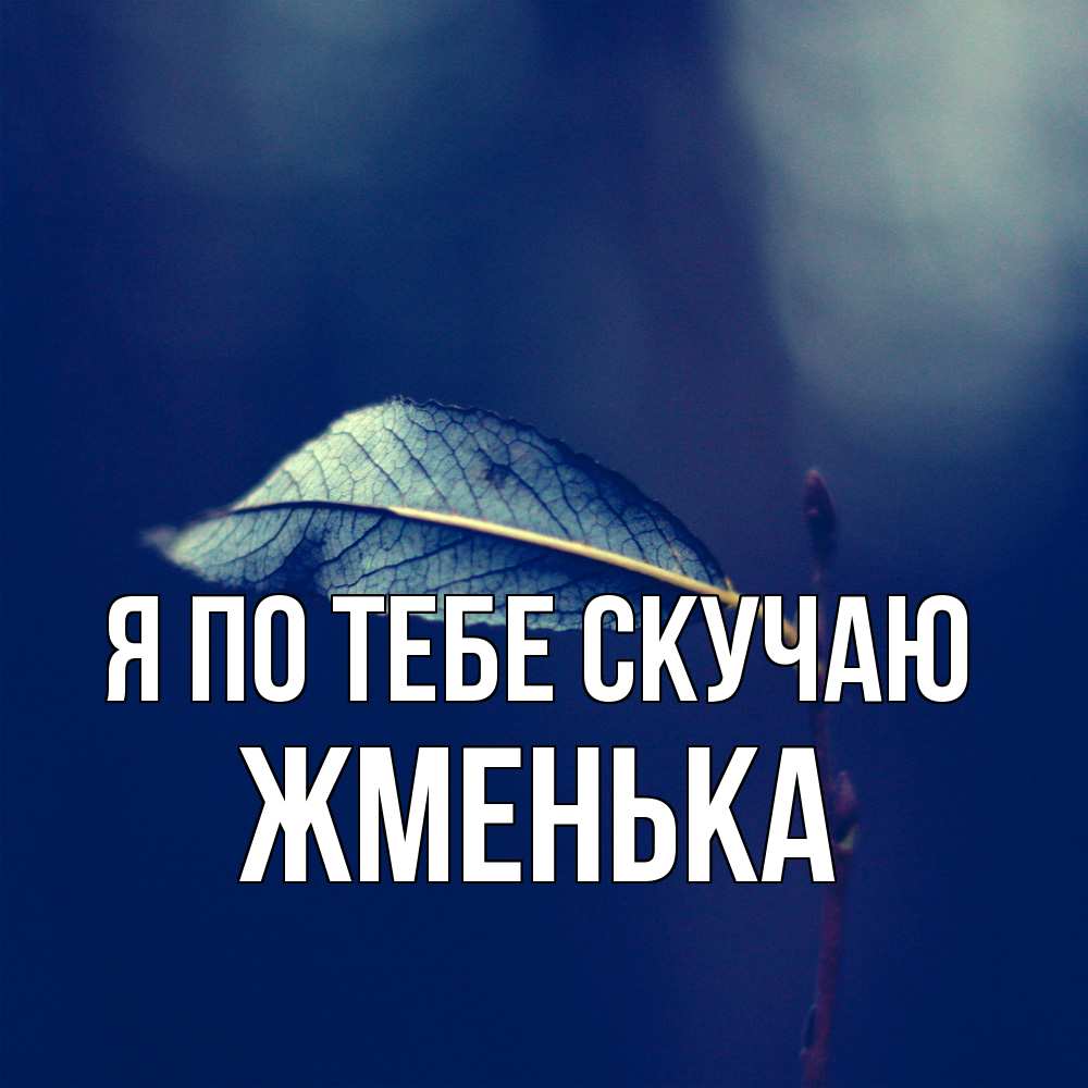 Открытка на каждый день с именем, Жменька Я по тебе скучаю одна ветка 1 Прикольная открытка с пожеланием онлайн скачать бесплатно 