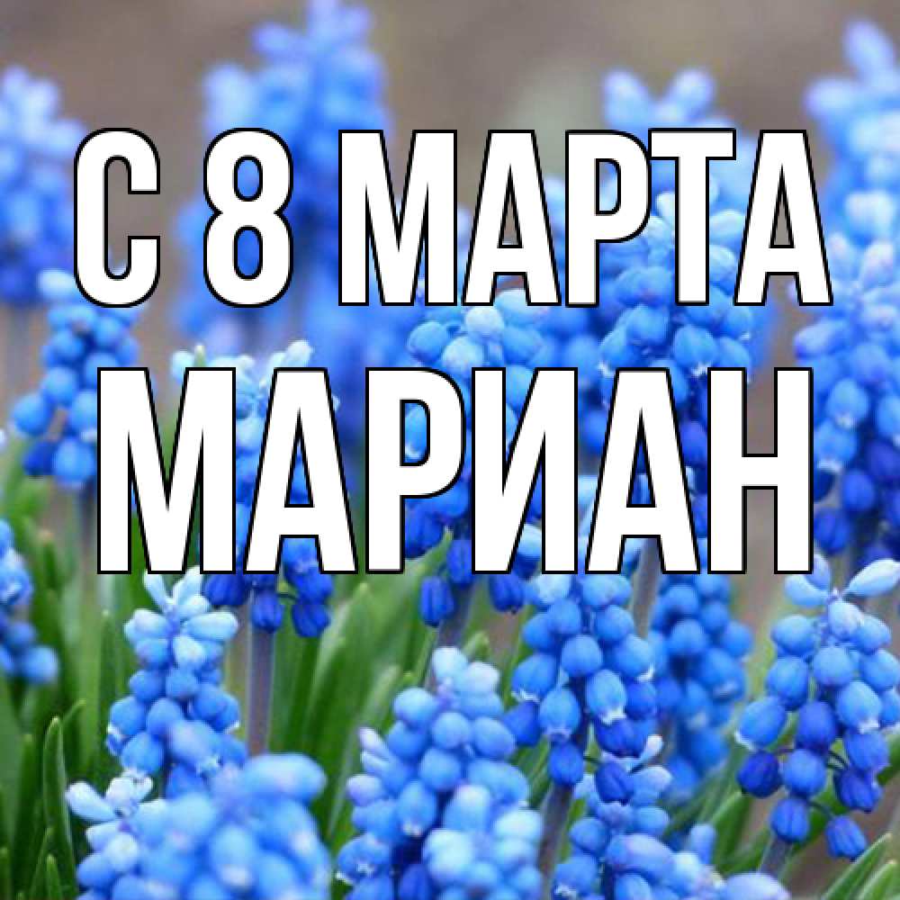 Открытка на каждый день с именем, Мариан C 8 МАРТА Поздравительная открытка для женщин с цветами на праздничную дату Прикольная открытка с пожеланием онлайн скачать бесплатно 