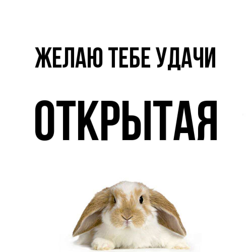 Открытка на каждый день с именем, открытая Желаю тебе удачи открытки с произвольным текстом который можно вставить в открытку и создать ее самостоятельно бесплатно онлайн Прикольная открытка с пожеланием онлайн скачать бесплатно 