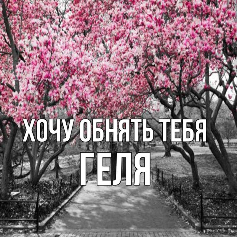 Картинка Хочу обнять тебя, Геля