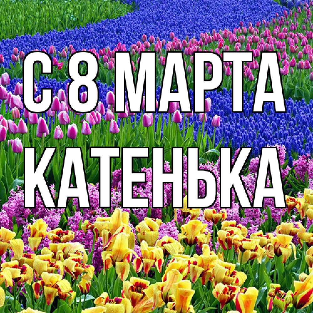 Открытка на каждый день с именем, Катенька C 8 МАРТА цветы Прикольная открытка с пожеланием онлайн скачать бесплатно 