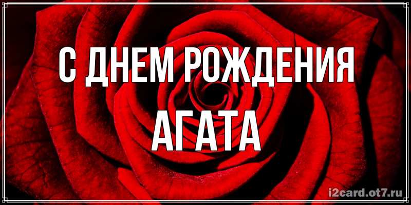 Картинка С днем рождения, Агата