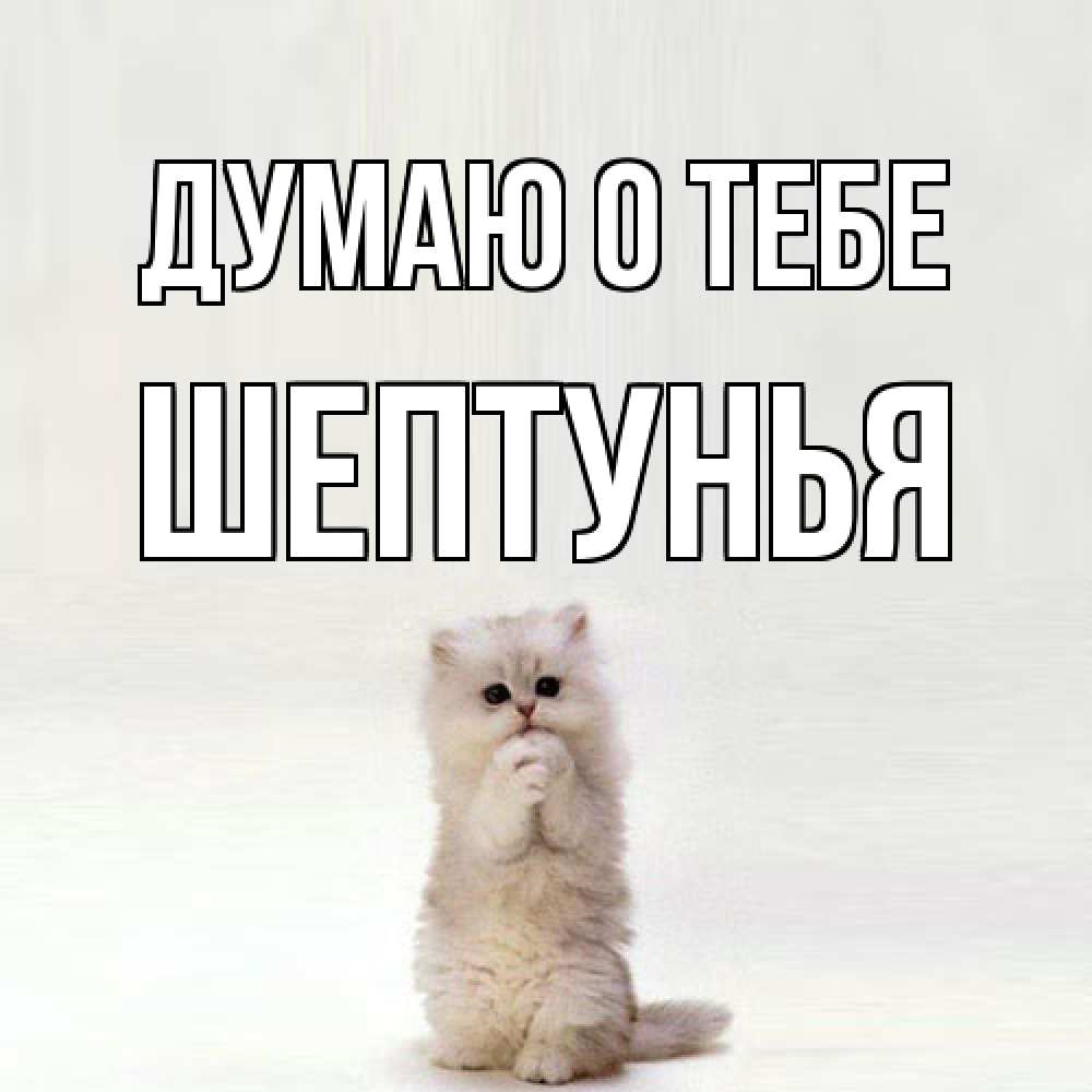 Открытка на каждый день с именем, Шептунья Думаю о тебе кот стоит на задних лапах Прикольная открытка с пожеланием онлайн скачать бесплатно 