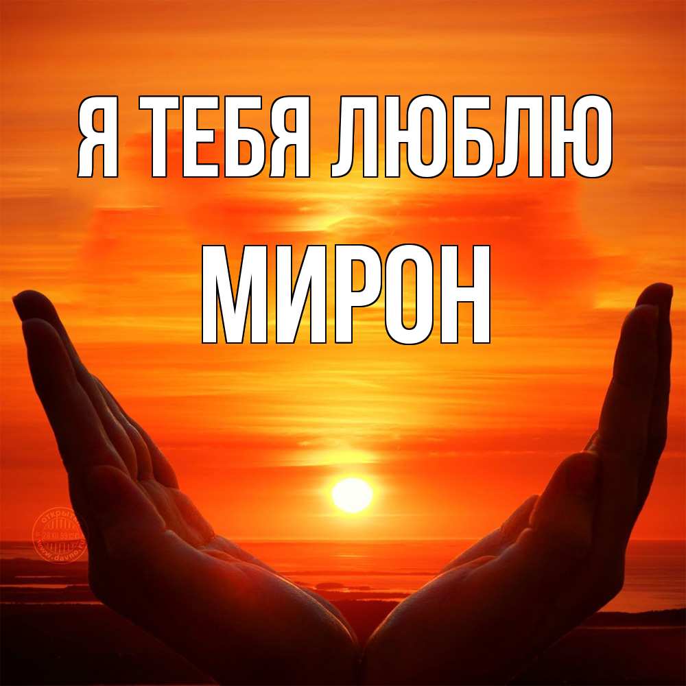 Открытка на каждый день с именем, Мирон Я тебя люблю в руках Прикольная открытка с пожеланием онлайн скачать бесплатно 