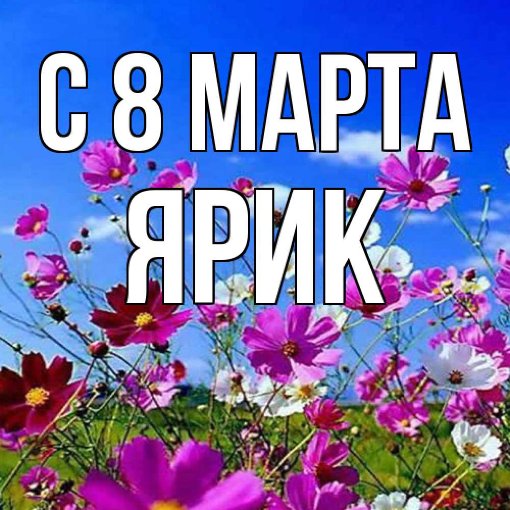 Открытка на каждый день с именем, Ярик C 8 МАРТА цветы Прикольная открытка с пожеланием онлайн скачать бесплатно 