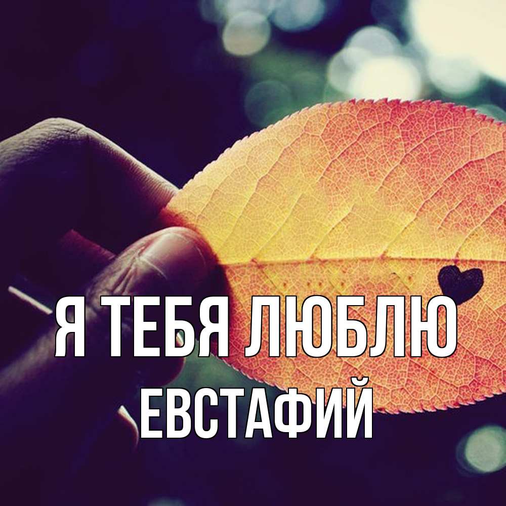 Открытка на каждый день с именем, Евстафий Я тебя люблю держу лист Прикольная открытка с пожеланием онлайн скачать бесплатно 