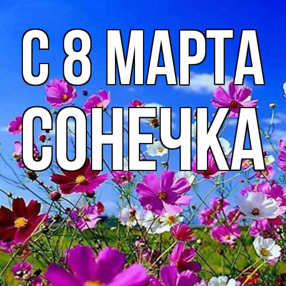 Открытка на каждый день с именем, Сонечка C 8 МАРТА цветы Прикольная открытка с пожеланием онлайн скачать бесплатно 