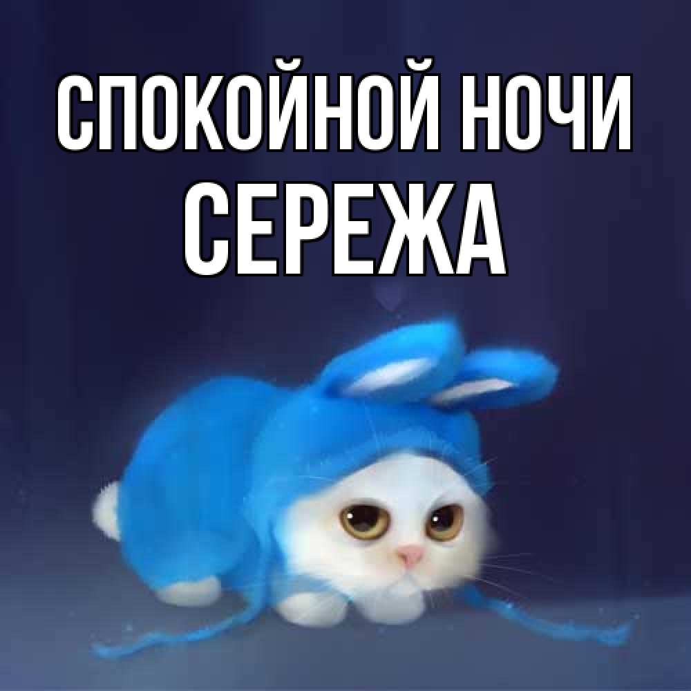 Открытка на каждый день с именем, Сережа Спокойной ночи кот в голубом костюме кролика с ушками Прикольная открытка с пожеланием онлайн скачать бесплатно 