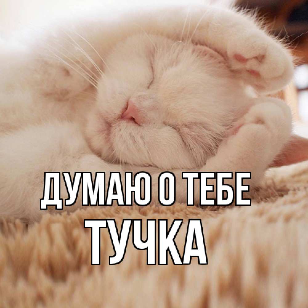 Открытка на каждый день с именем, Тучка Думаю о тебе для любимой девушки милота Прикольная открытка с пожеланием онлайн скачать бесплатно 