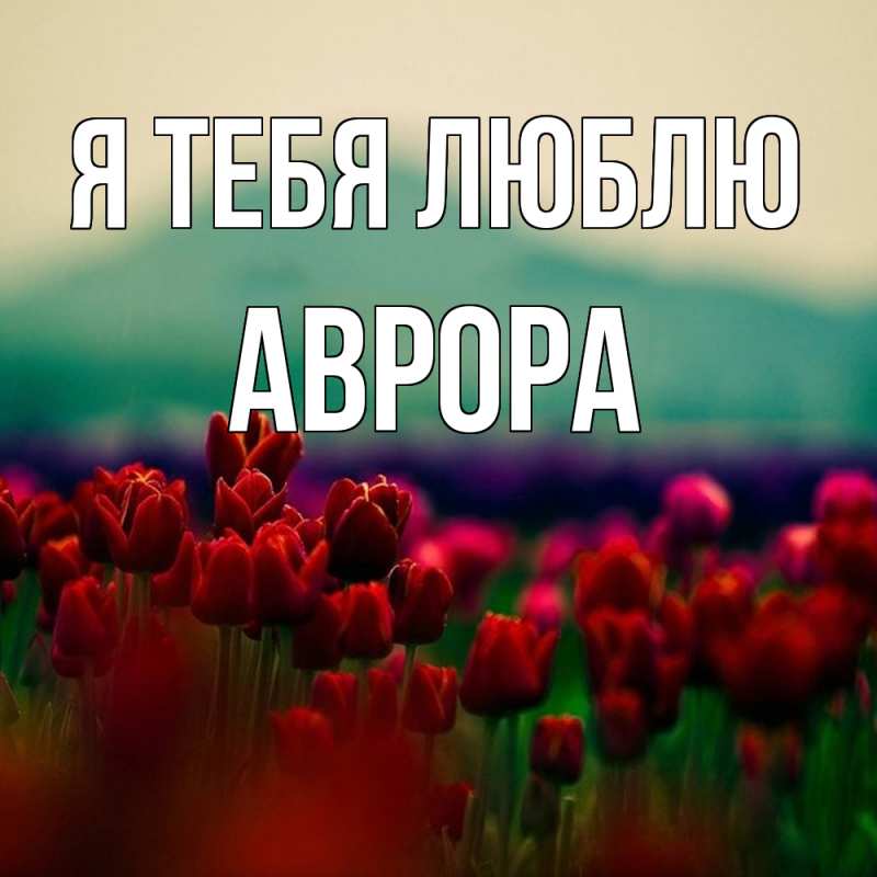Картинка Я тебя люблю, Аврора