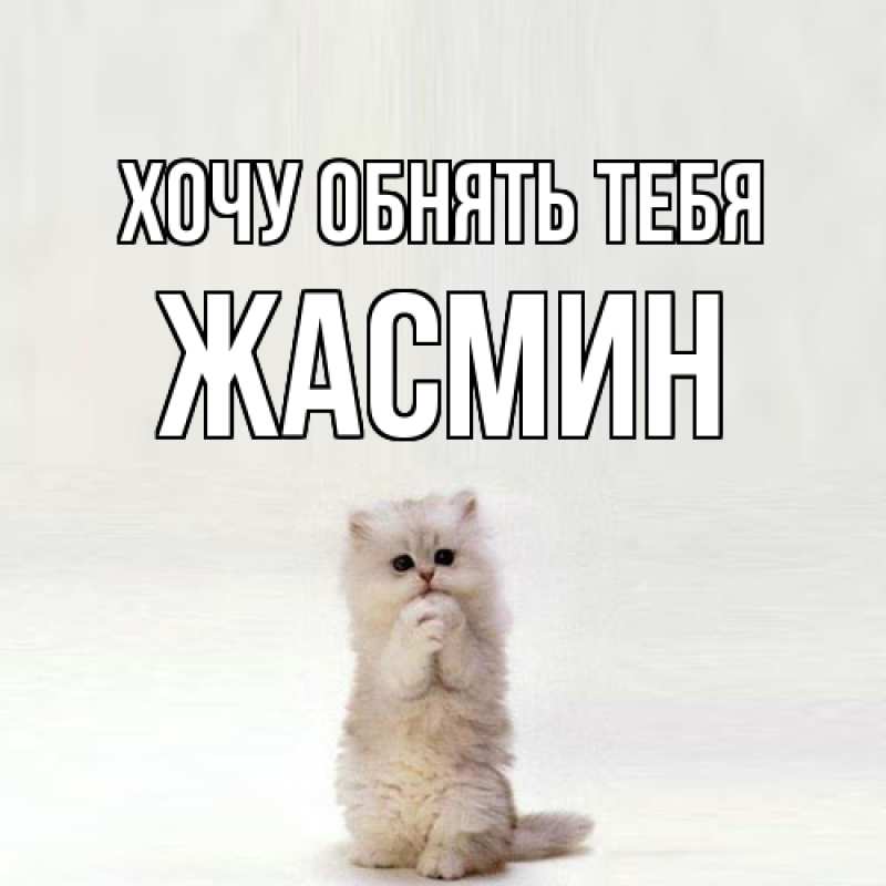 Картинка Хочу обнять тебя, Жасмин