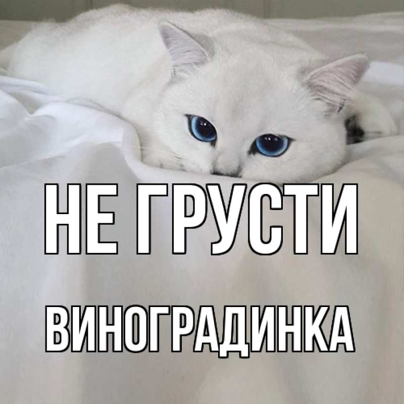 Картинка Не грусти, виноградинка