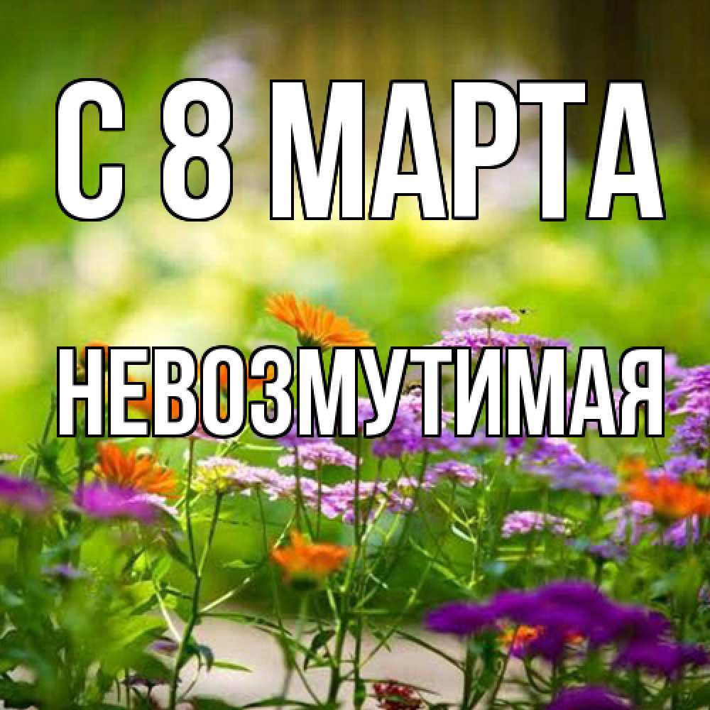 Открытка на каждый день с именем, Невозмутимая C 8 МАРТА цветы Прикольная открытка с пожеланием онлайн скачать бесплатно 