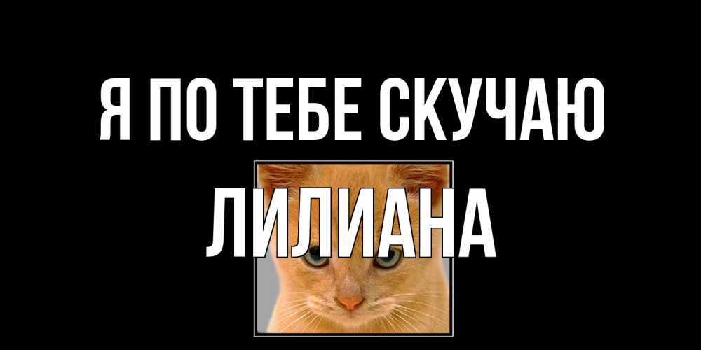 Открытка на каждый день с именем, Лилиана Я по тебе скучаю открытки рыжий котенок скучает по тебе Прикольная открытка с пожеланием онлайн скачать бесплатно 