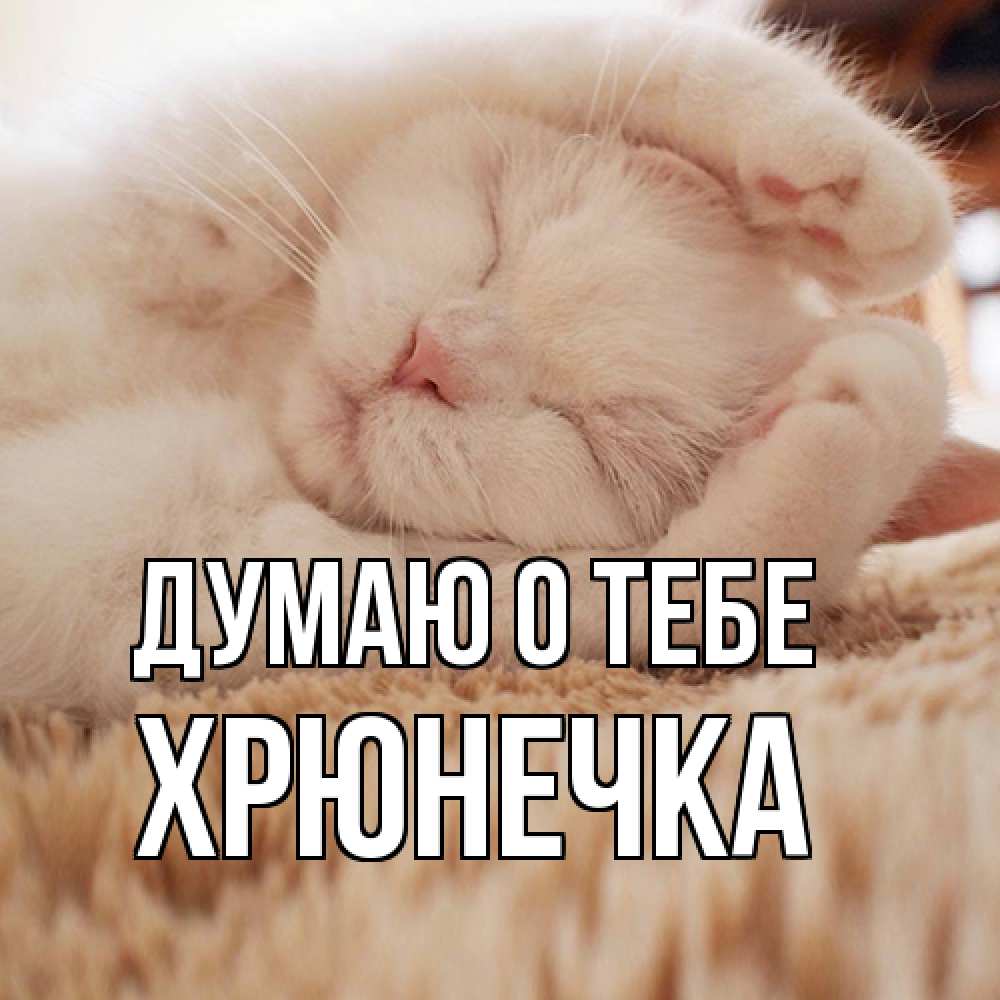 Открытка на каждый день с именем, Хрюнечка Думаю о тебе для любимой девушки милота Прикольная открытка с пожеланием онлайн скачать бесплатно 
