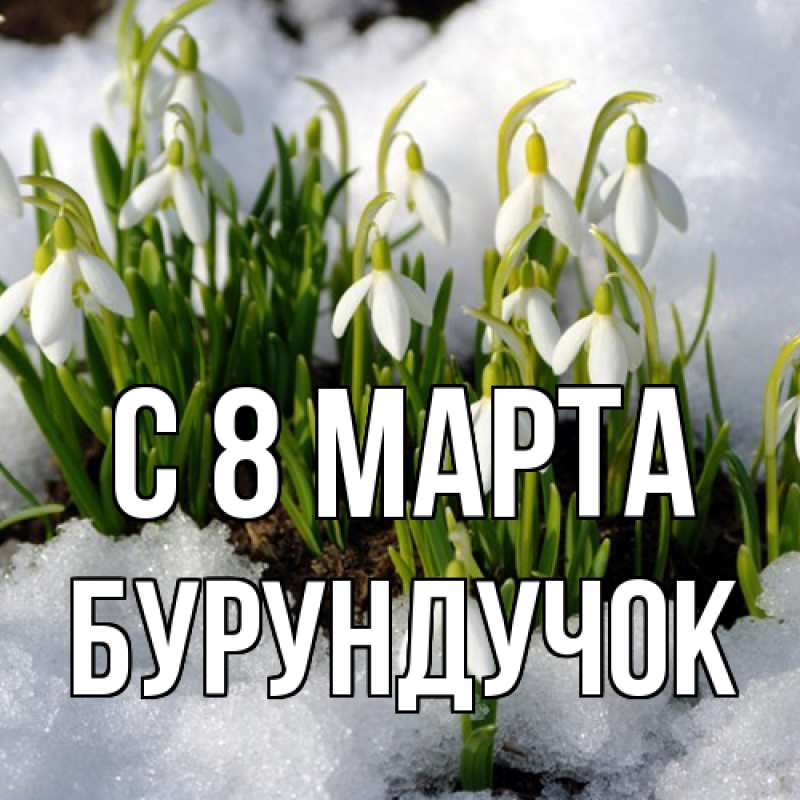 Картинка C 8 МАРТА, бурундучок