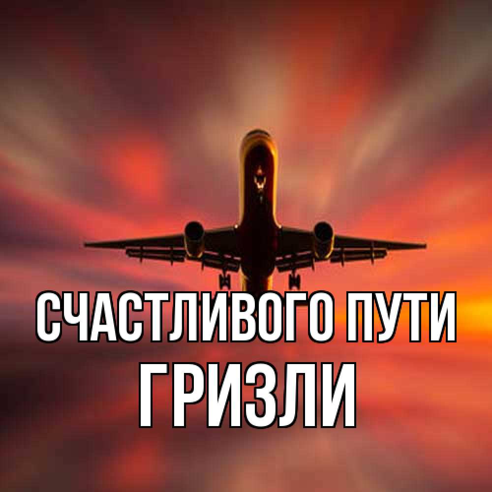 Открытка на каждый день с именем, Гризли Счастливого пути самолет набирает высоту Прикольная открытка с пожеланием онлайн скачать бесплатно 