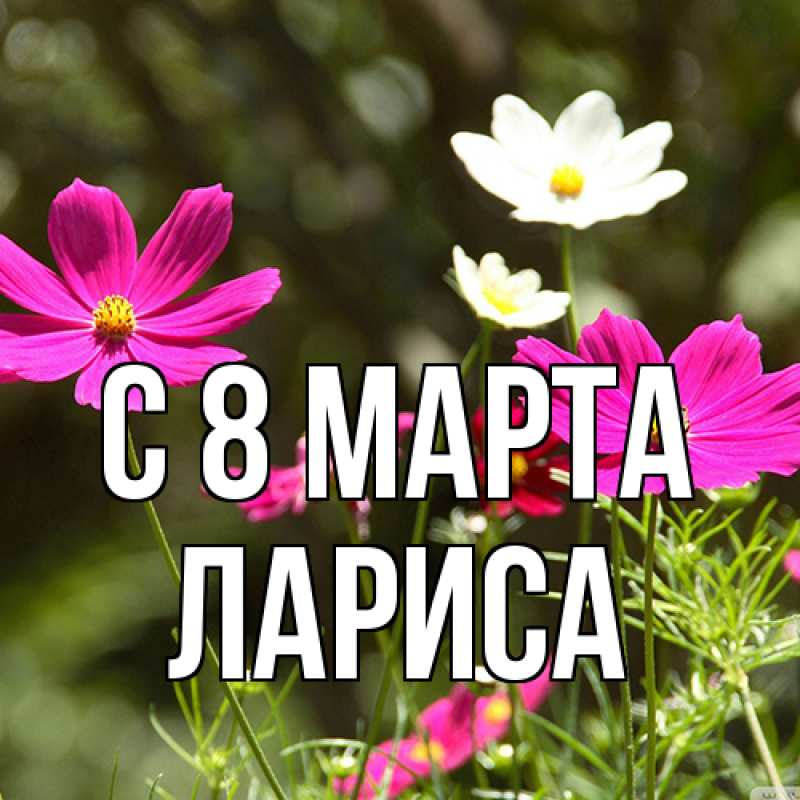 Картинка C 8 МАРТА, Лариса
