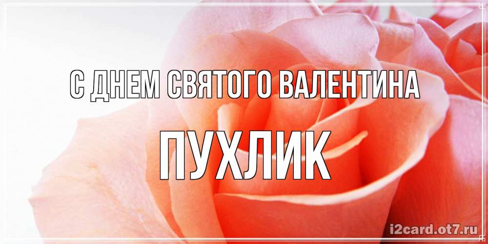 Открытка на каждый день с именем, пухлик С днем Святого Валентина открытка на день Святого Валентина с розовой розой Прикольная открытка с пожеланием онлайн скачать бесплатно 