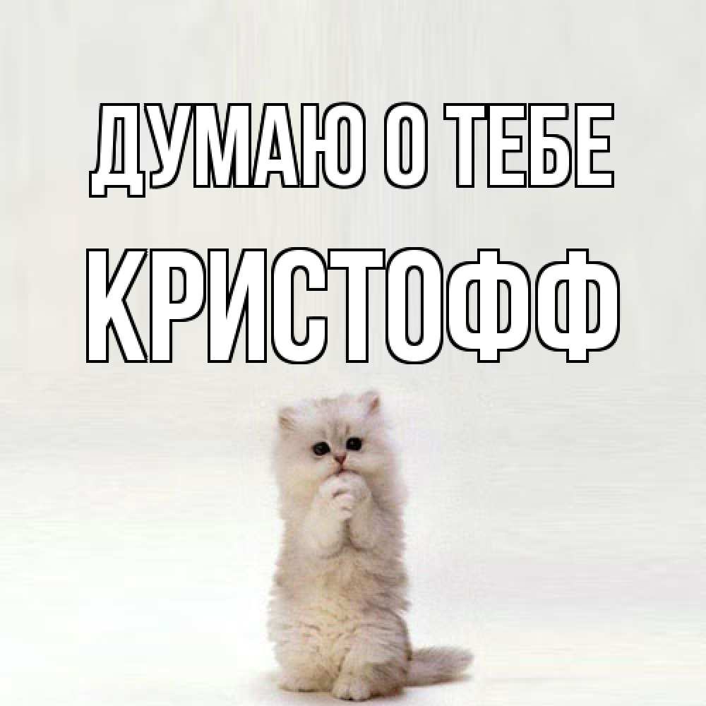 Открытка на каждый день с именем, Кристофф Думаю о тебе кот стоит на задних лапах Прикольная открытка с пожеланием онлайн скачать бесплатно 