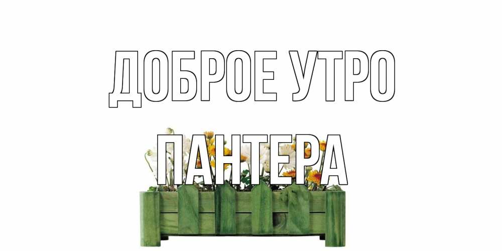 Открытка на каждый день с именем, Пантера Доброе утро цветы Прикольная открытка с пожеланием онлайн скачать бесплатно 