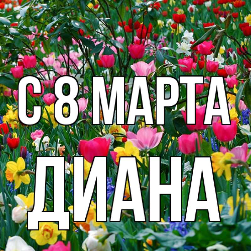 Картинка C 8 МАРТА, Диана