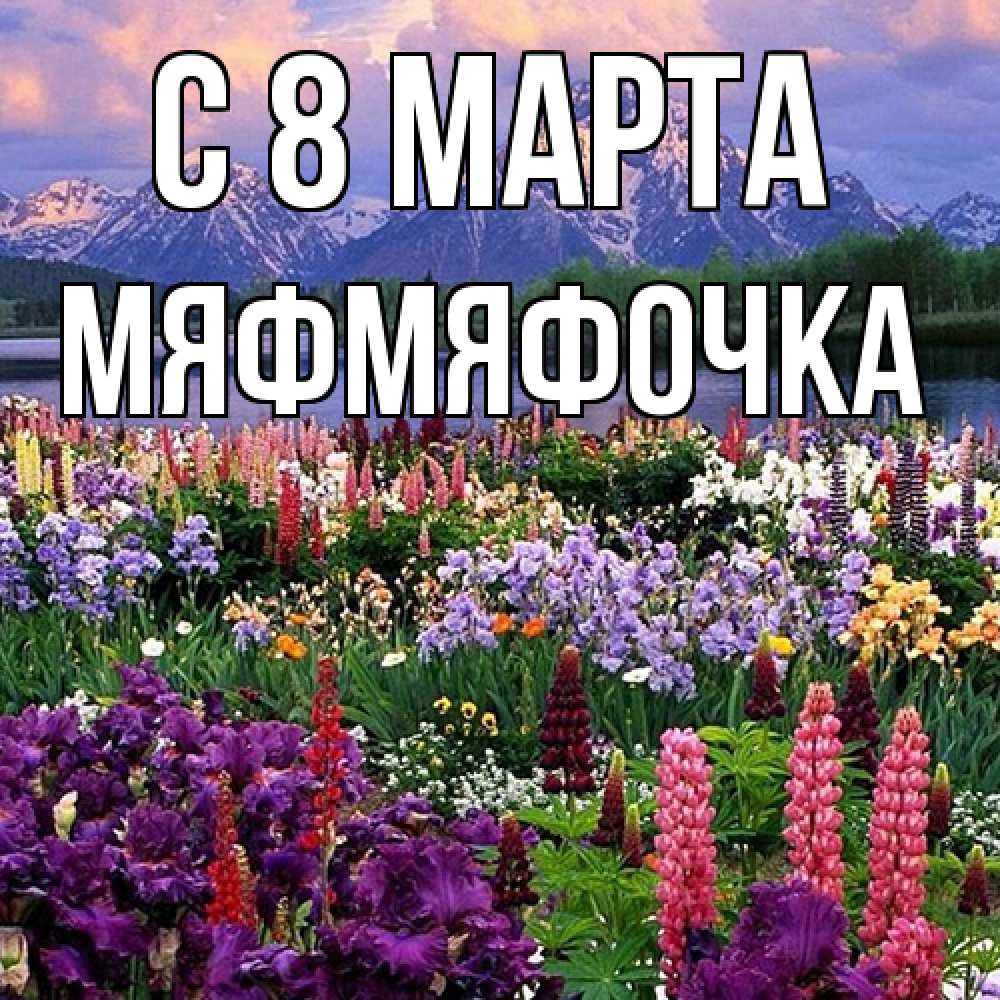 Открытка на каждый день с именем, мяфмяфочка C 8 МАРТА международный женский день Прикольная открытка с пожеланием онлайн скачать бесплатно 