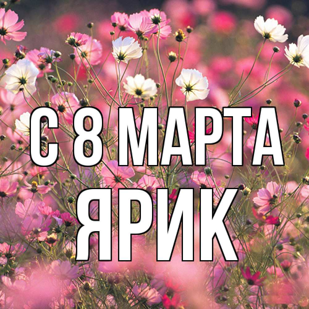 Открытка на каждый день с именем, Ярик C 8 МАРТА красиво 1 Прикольная открытка с пожеланием онлайн скачать бесплатно 