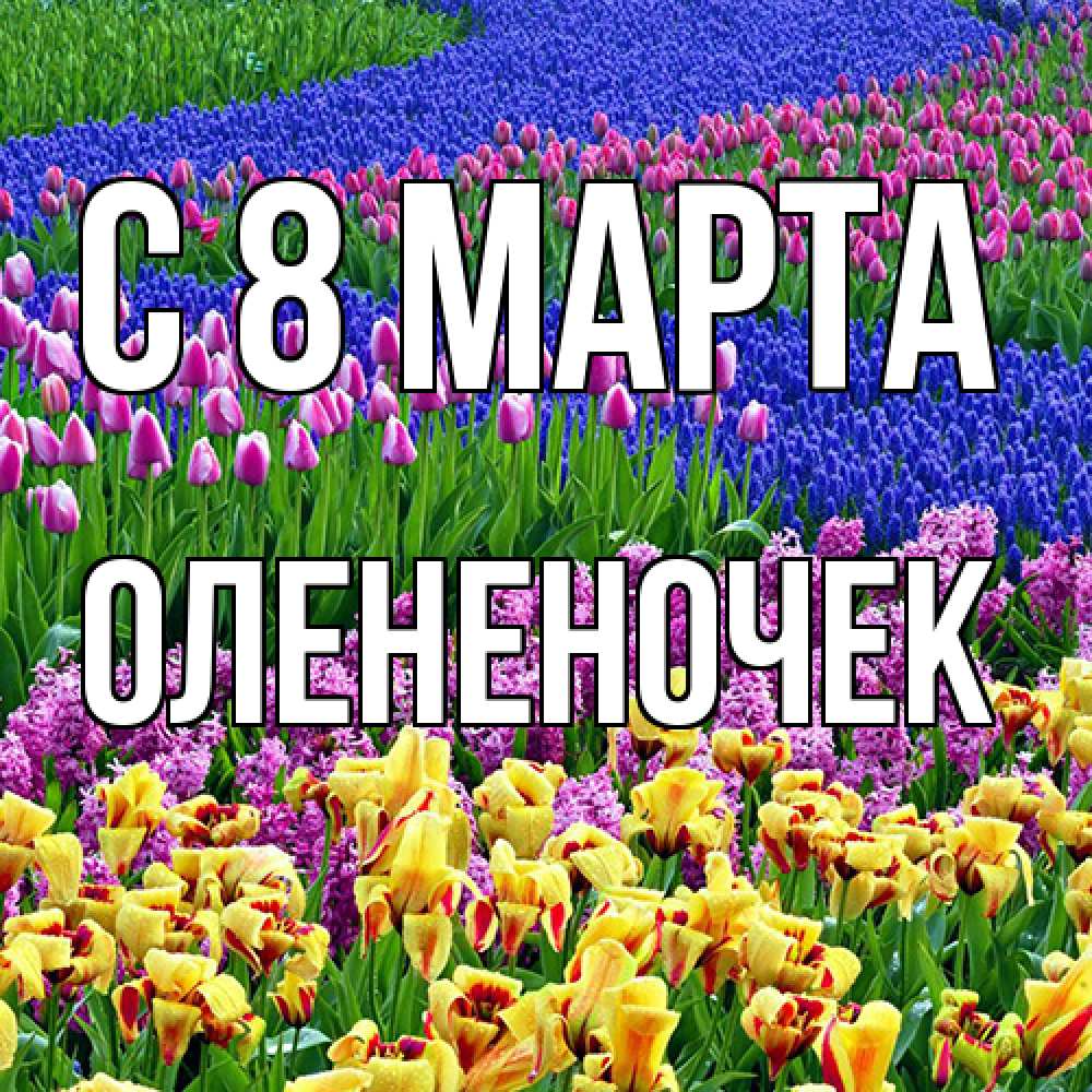 Открытка на каждый день с именем, Олененочек C 8 МАРТА цветы Прикольная открытка с пожеланием онлайн скачать бесплатно 
