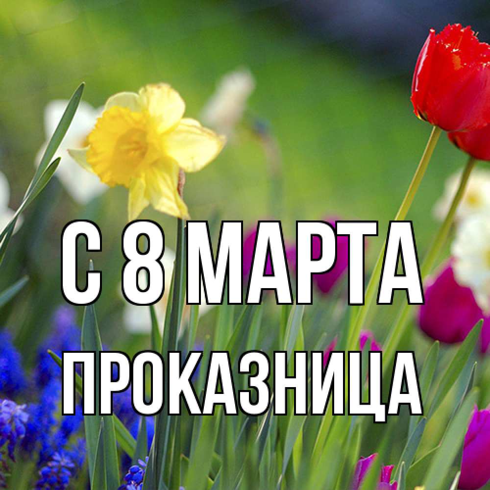 Открытка на каждый день с именем, Проказница C 8 МАРТА международный женский день 3 Прикольная открытка с пожеланием онлайн скачать бесплатно 