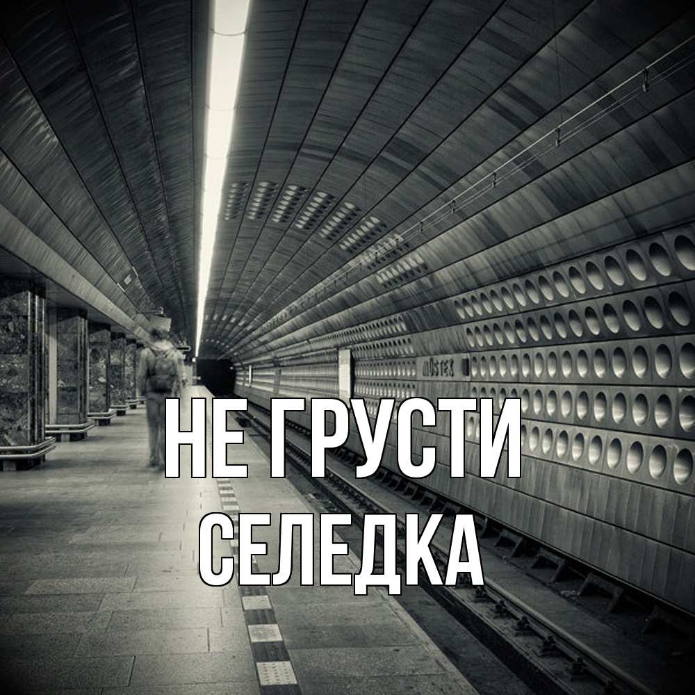 Открытка на каждый день с именем, Селедка Не грусти пустая станция метро Прикольная открытка с пожеланием онлайн скачать бесплатно 