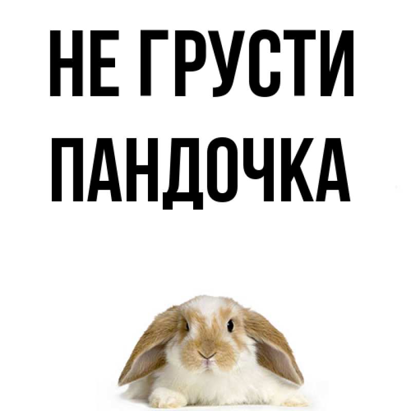 Картинка Не грусти, пандочка